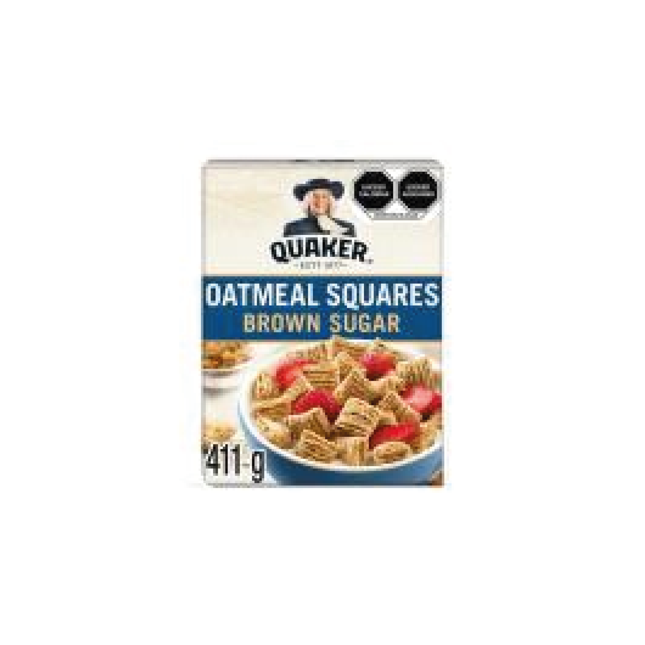 Quaker Oatmeal Squares