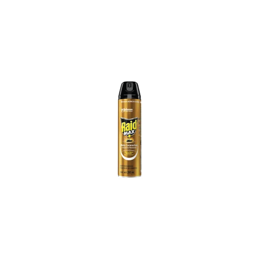 Raid