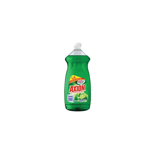 Axion