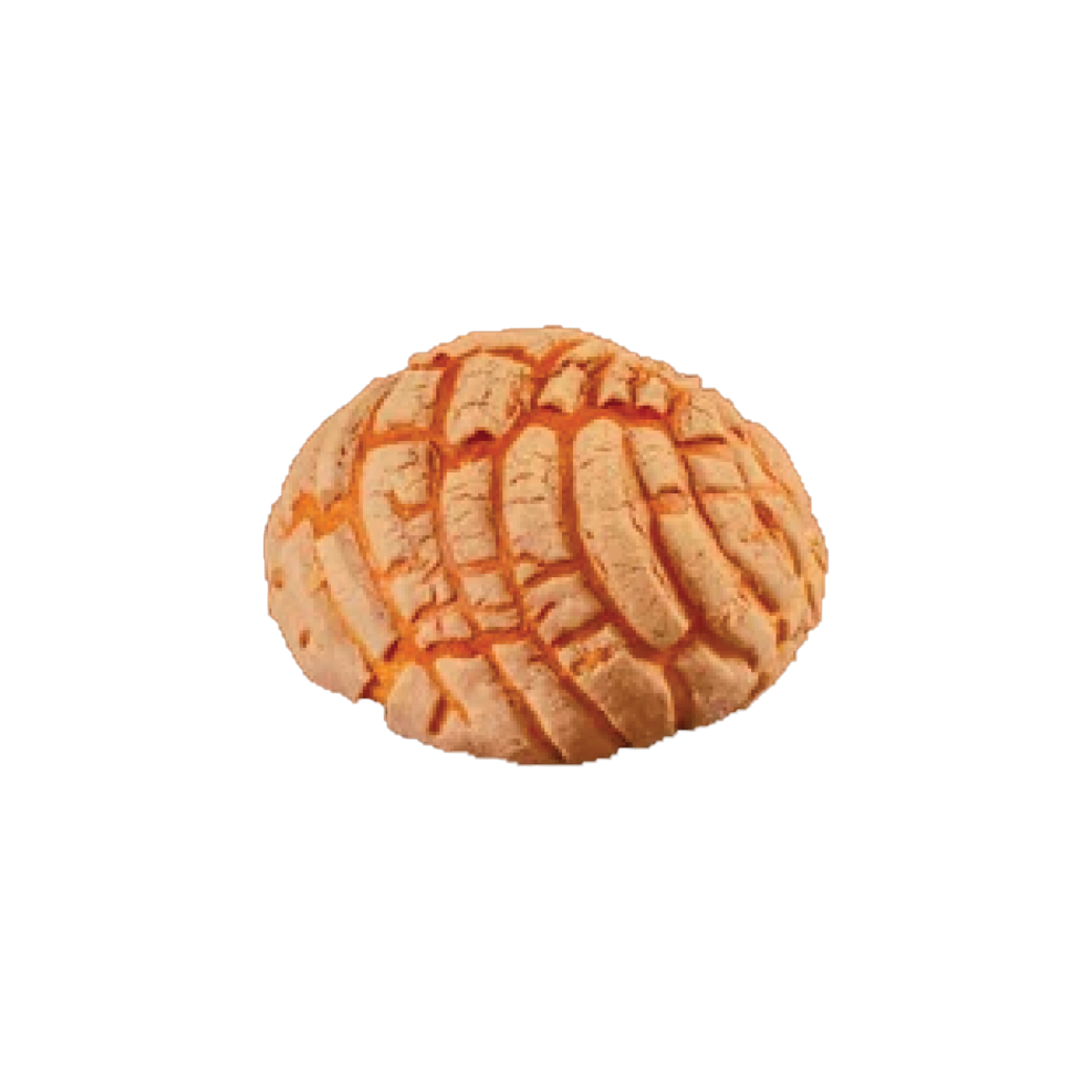 Concha de chocolate