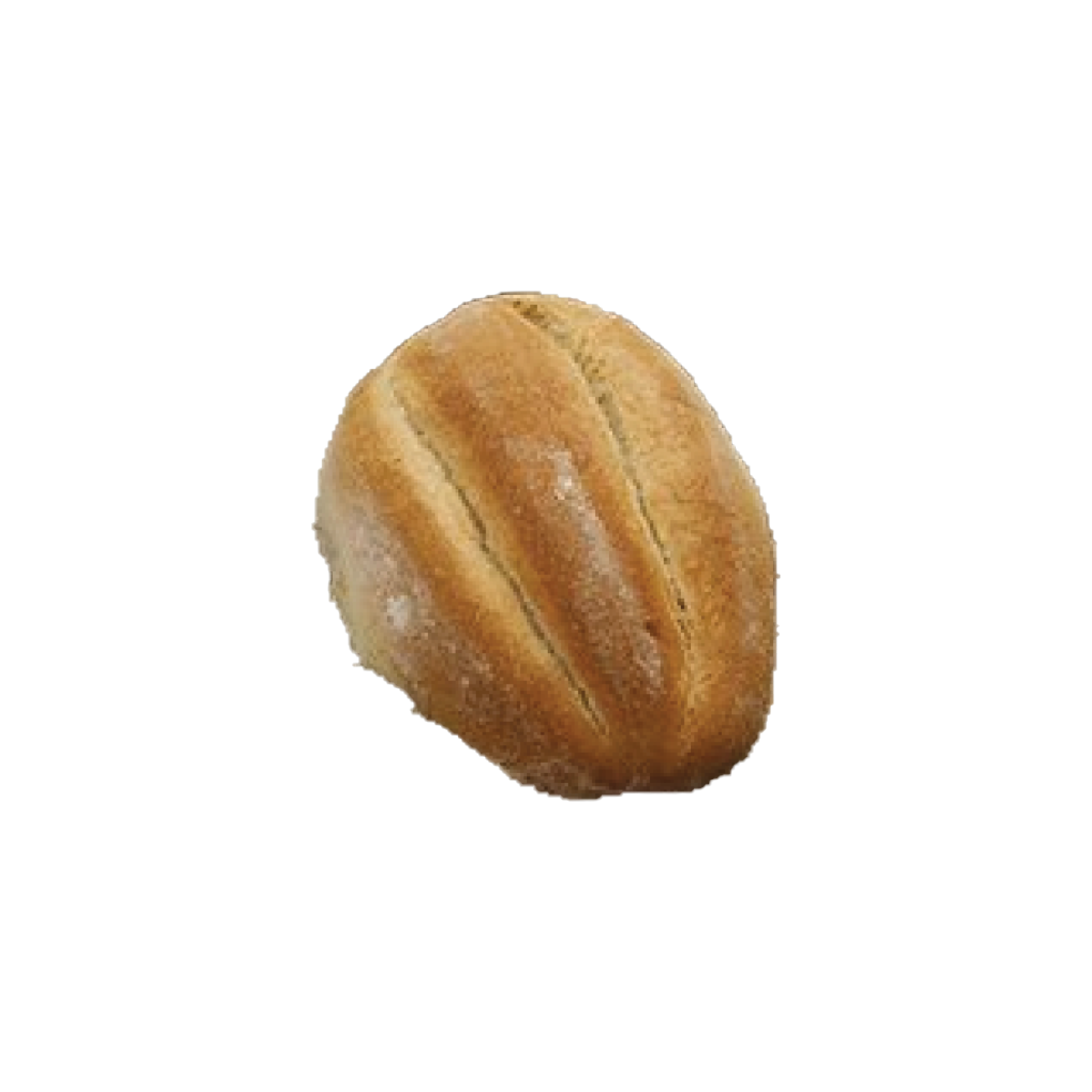 Telera