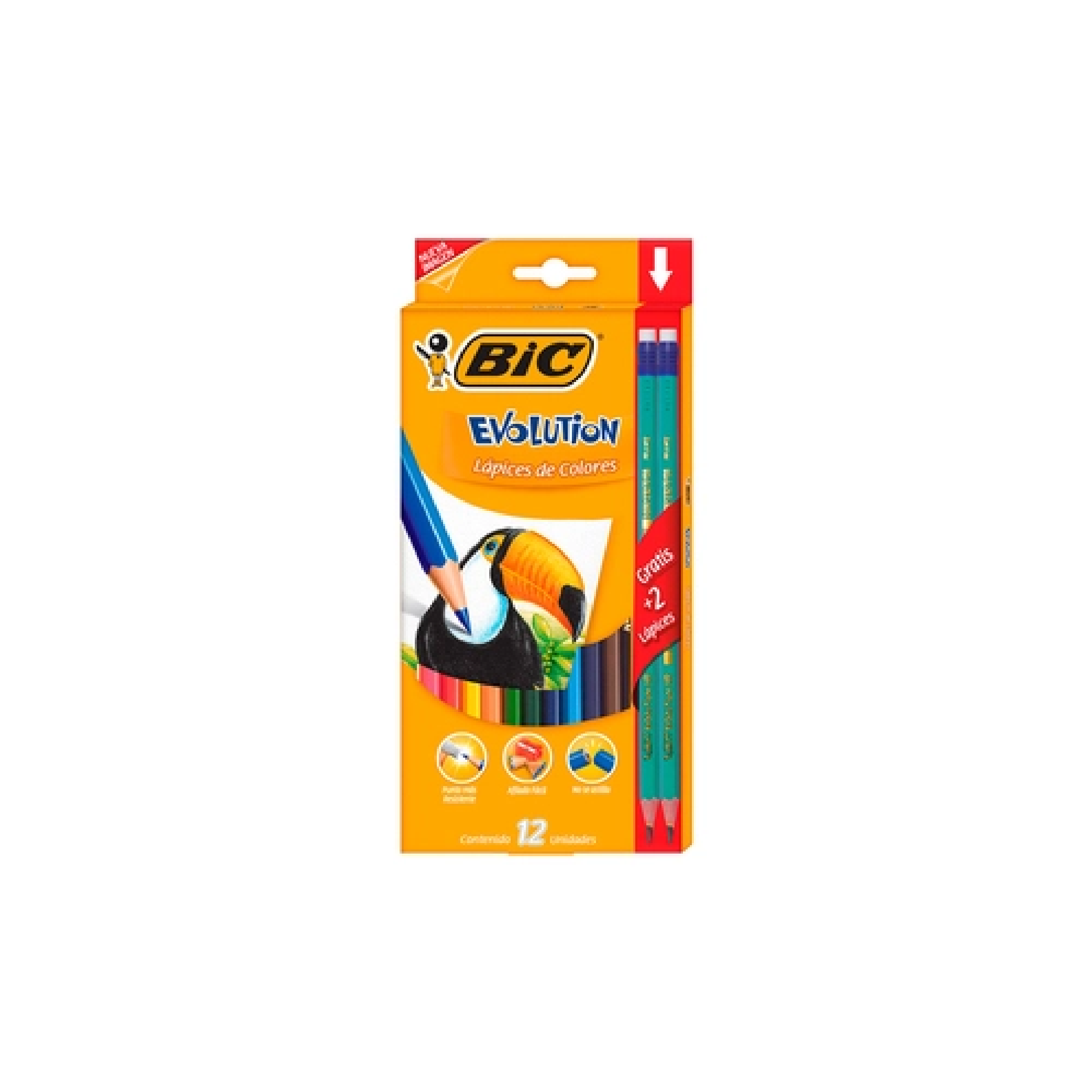 Colores Bic Evolution