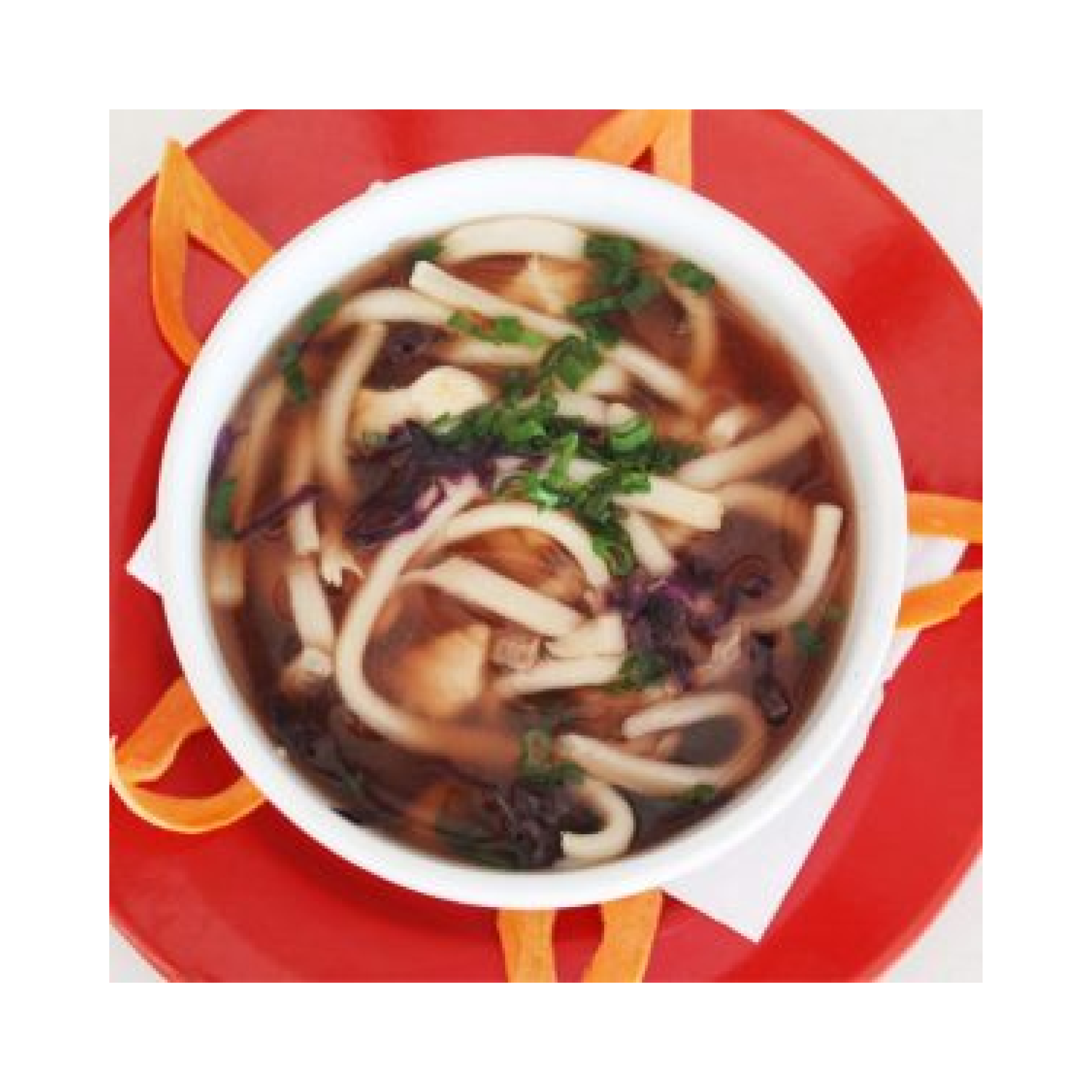 Sopa udón
