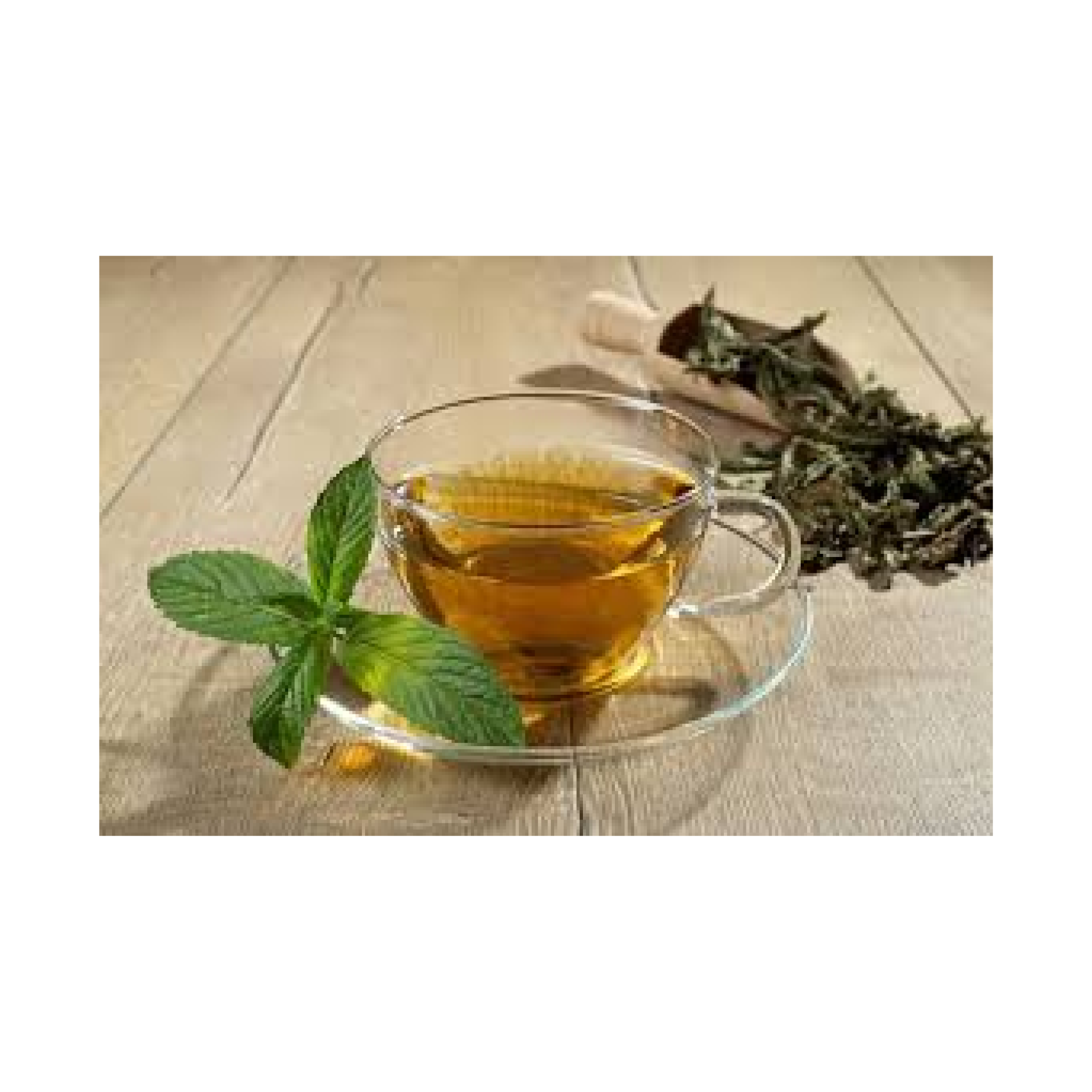 Tisana de menta