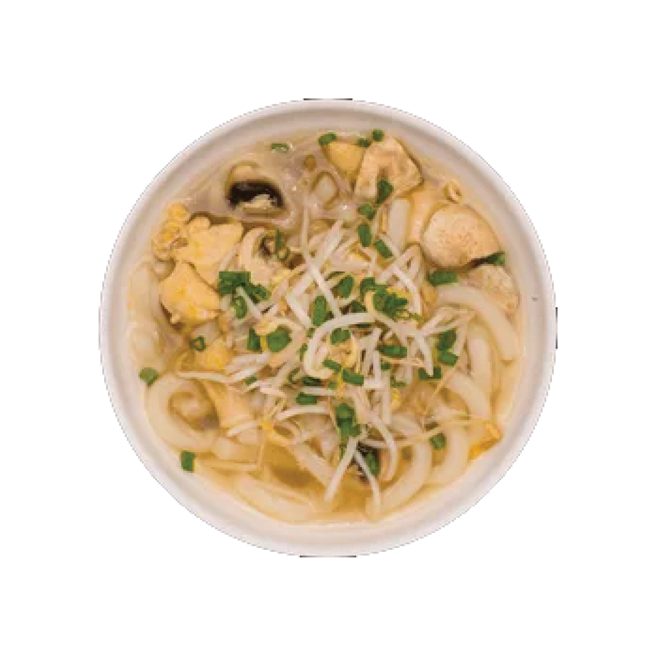Sopa udón de pollo