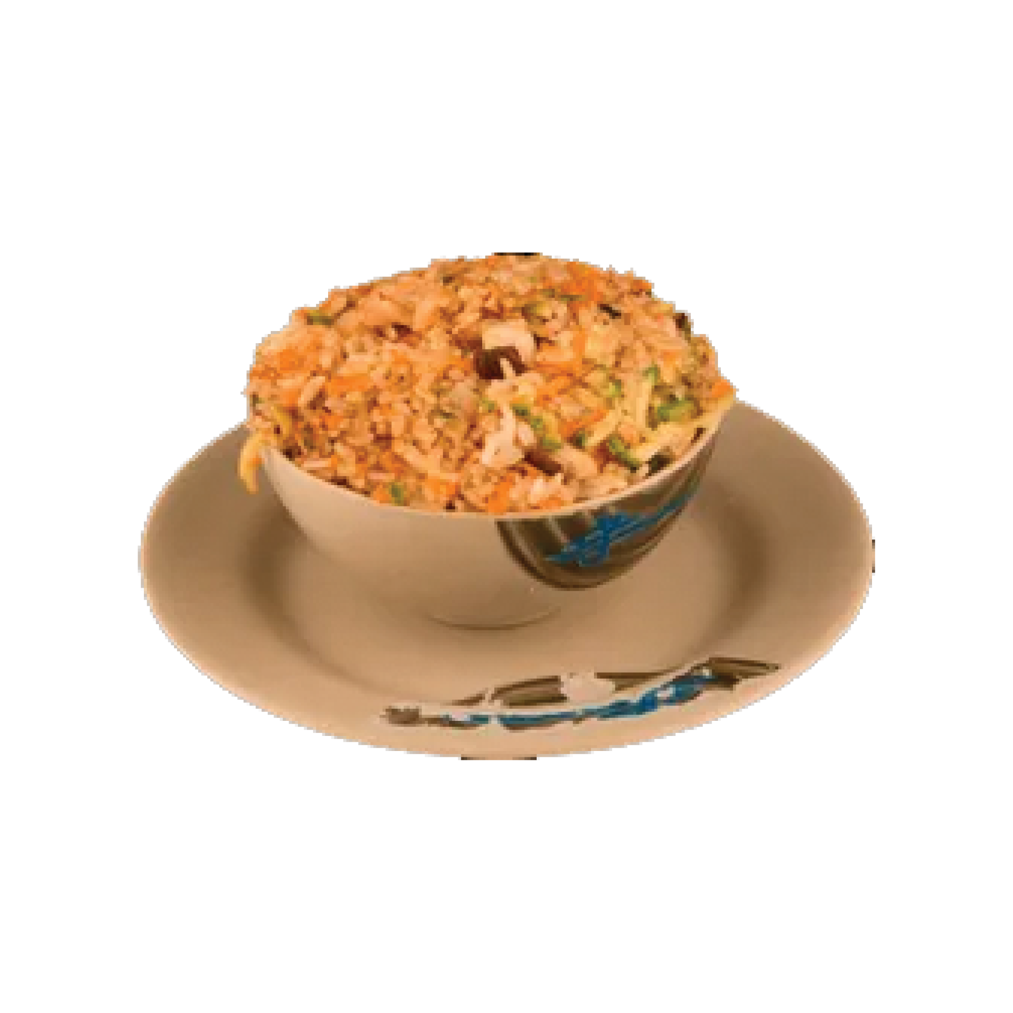 Arroz Frito Mixto
