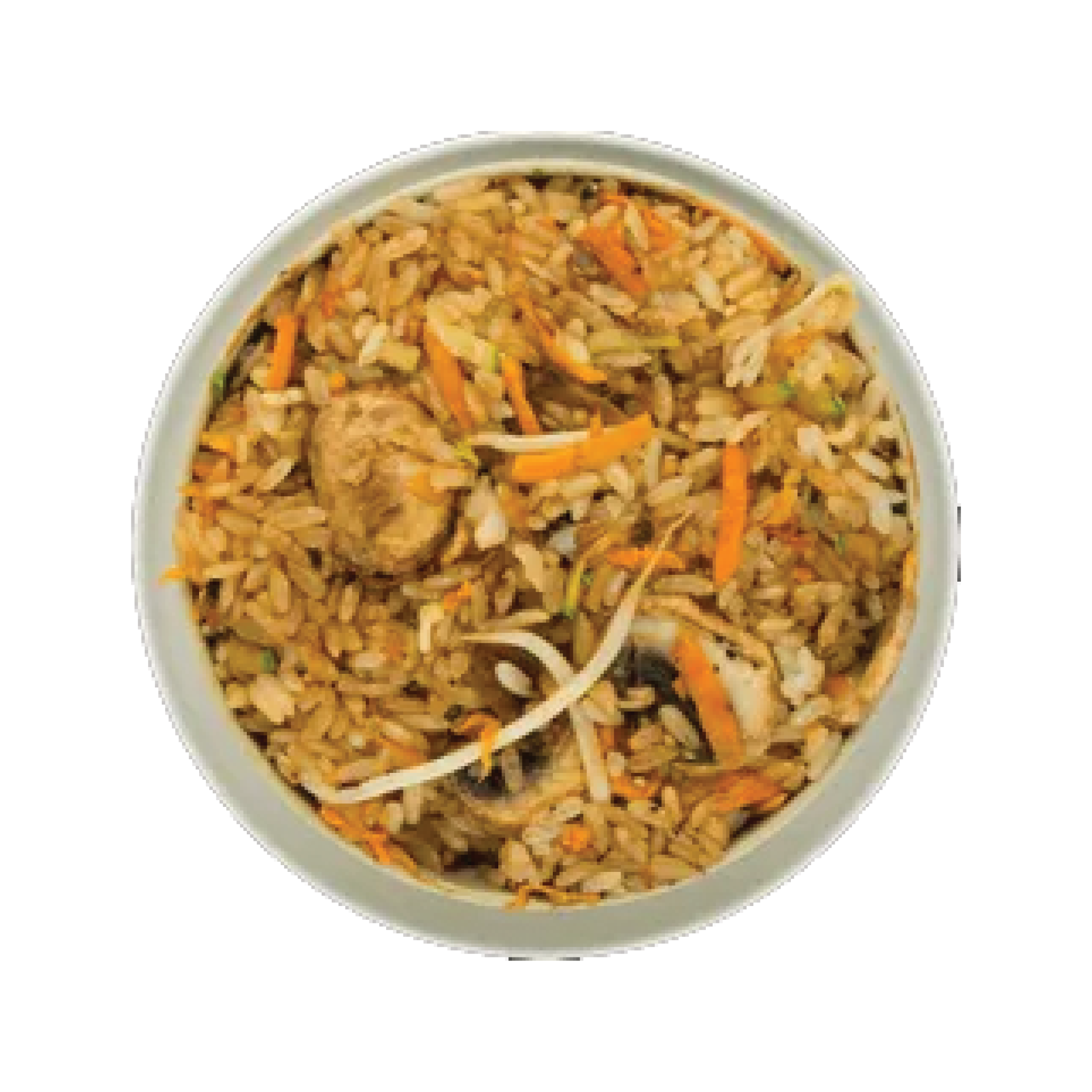 Arroz Frito de Verduras Especial