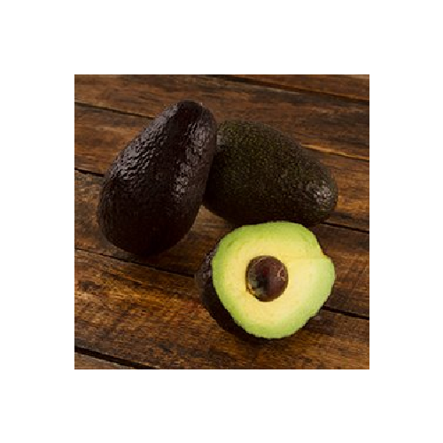 Aguacate Hass
