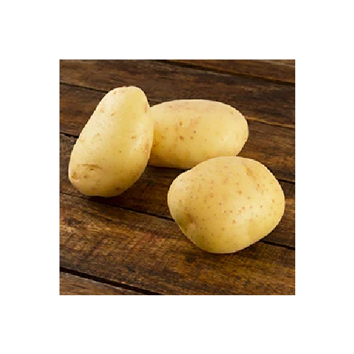 Papa blanca