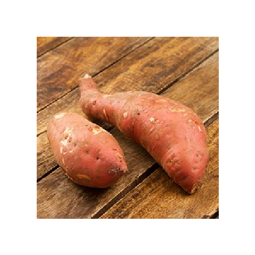 Camote amarillo