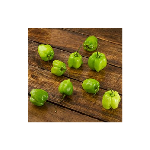 Chile habanero
